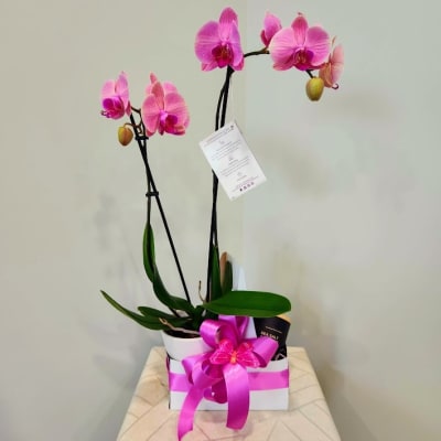 Florist 44718 | 44718 Flower Delivery by Seifert's Flower Mill Florist
