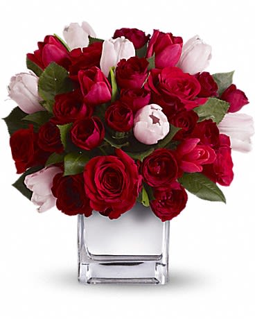 flower Major clades and a revised classification of Magnolia and