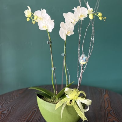Florist 85030 | 85030 Flower Delivery by Elite Flowers & Gifts Florist