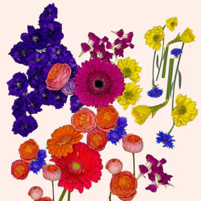 Hermitage Hills Baptist Church Florist | Hermitage Hills Baptist
