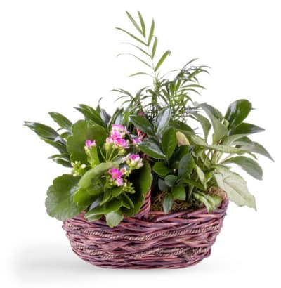 Flower Arrangement 113 Flower Delivery Contact Our - Hana Florists