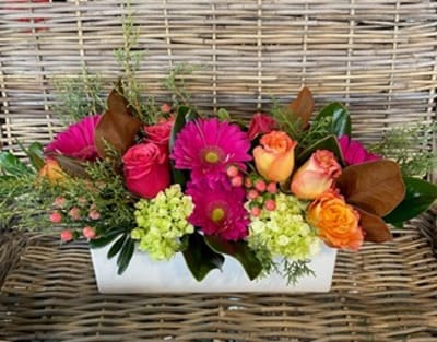 vans marvel spiderman