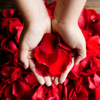 Large Bag of Red Rose Petals