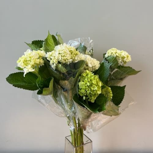 Florist V9A 6W9 | V9A 6W9 Flower Delivery by Poppies Floral Art