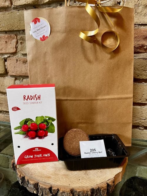 Everything You Need Seed Growing Kit - Radish