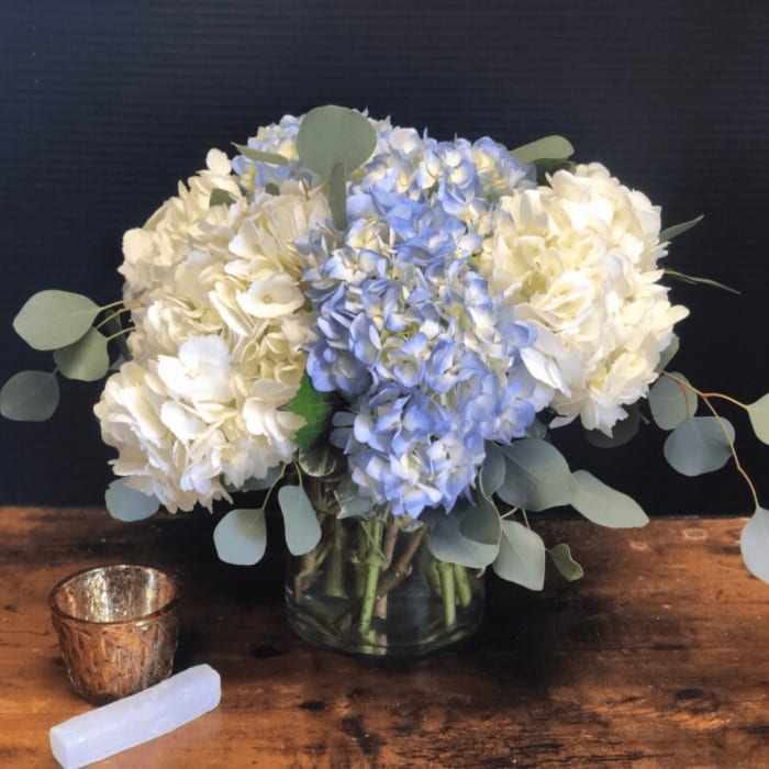 A Moment on the Cape hydrangea arrangement from Designs By Don Florist