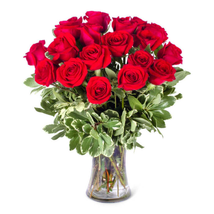 Red Roses Flower Delivery- SnapBlooms