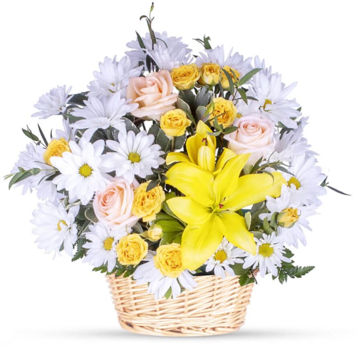 Basketful of Daisies