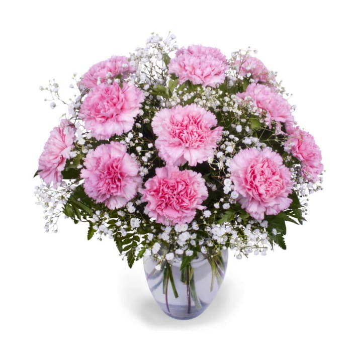 Classic Dozen Carnations Vase Arrangement Choose Your Color