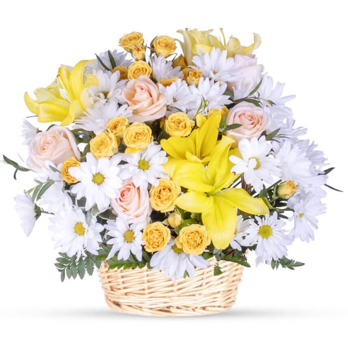 Basketful of Daisies