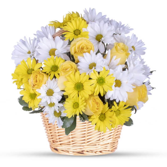 Daisies Basket! 
