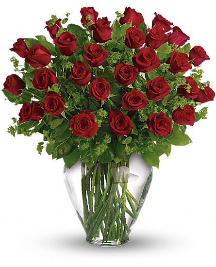 My Perfect Love - Long Stemmed Red Roses