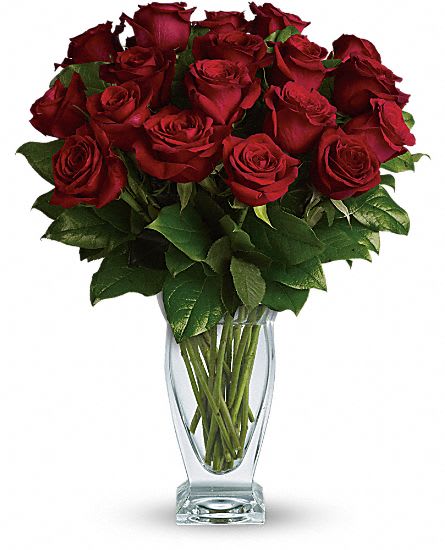 Rose Classique - Dozen Red Roses