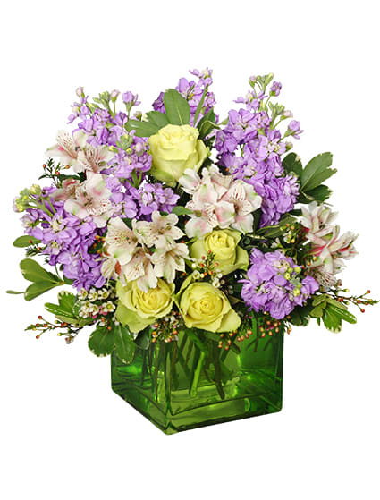 CHILLED OUT
BOUQUET OF FLOWERS