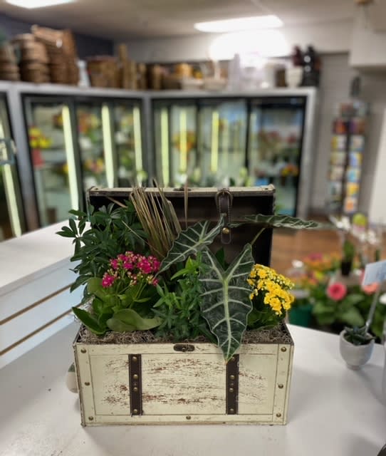 Treasure Chest Dish Garden