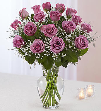 Rose Elegance Premium Long Stem Purple Roses