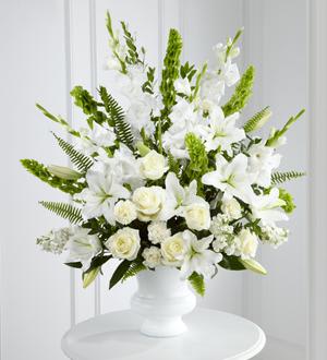 Morning Stars Arrangement