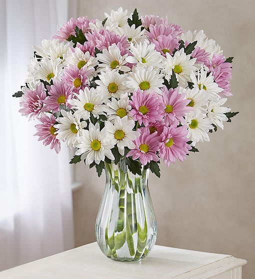 Lovely Daisy Bouquet
