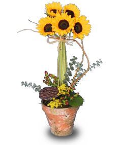 SOLAR POWERTopiary Pot