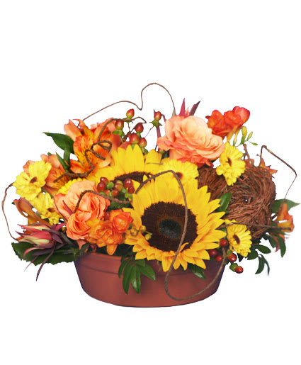 SUNFLOWER SENSATION
 Centerpiece
