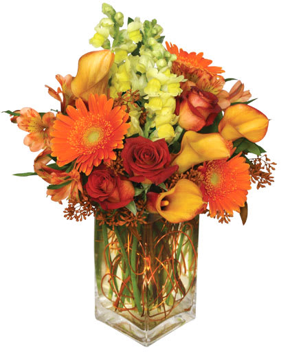 AUTUMN ADVENTURE
 Arrangement
