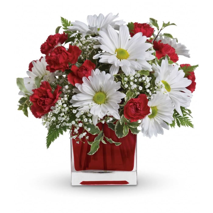 Red and White Delight
