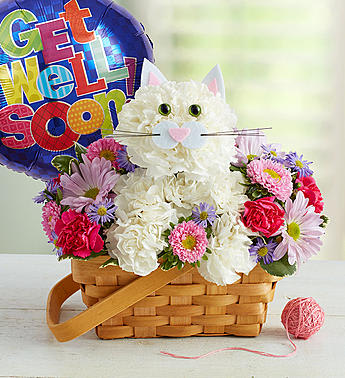 Fabulous Feline Get Well