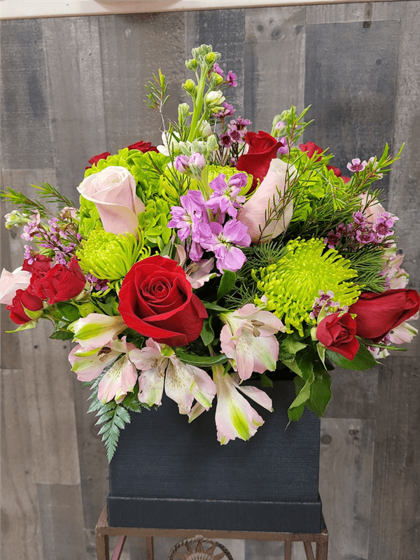 Deluxe Green Wonder in Square Black Box