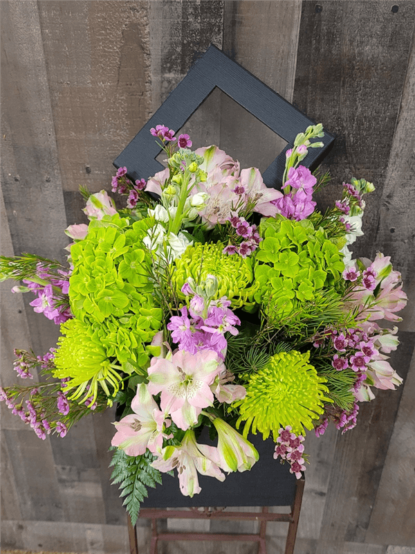 Green Wonder in Black Box