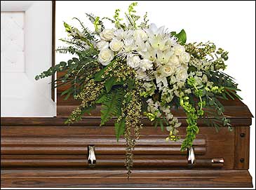 GARDEN ELEGANCE CASKET SPRAYFuneral Flowers