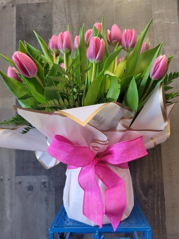 Precious Pink Tulips