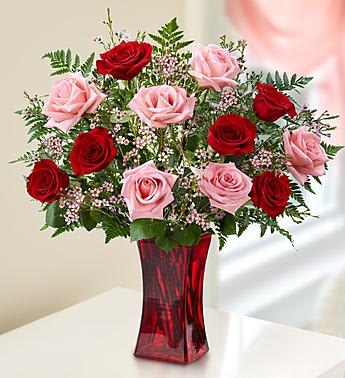 Shades of Pink and Red™ 1 Doz Long Stem Roses