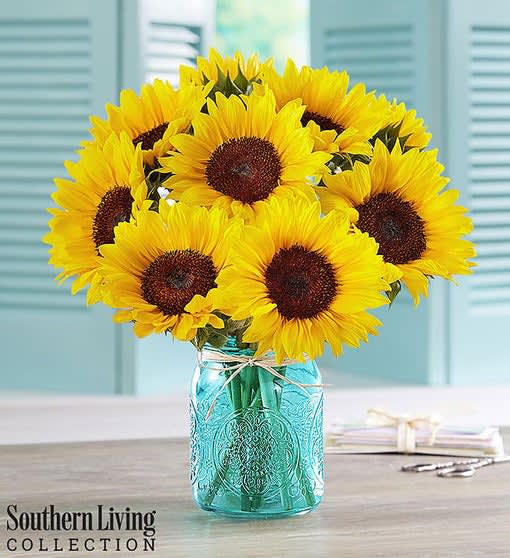 Sunflowers by Southern Living
