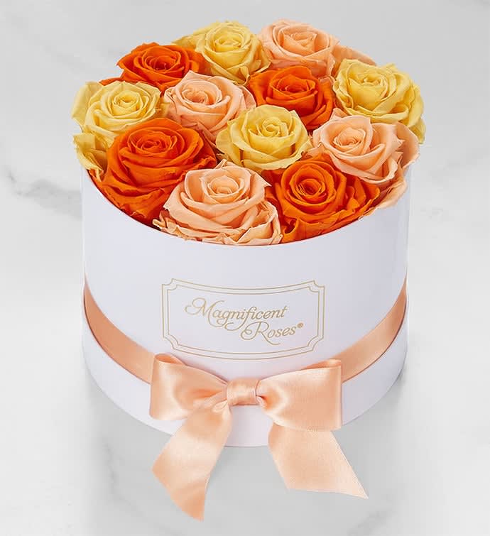 Magnificent Roses® Preserved Citrus Roses