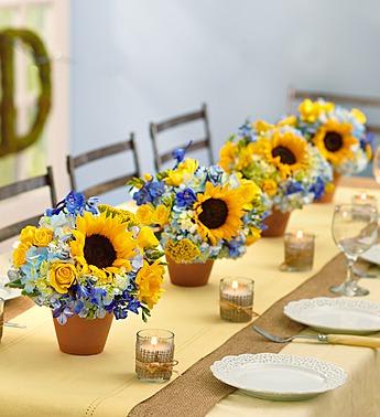 Country Wedding Centerpiece Package