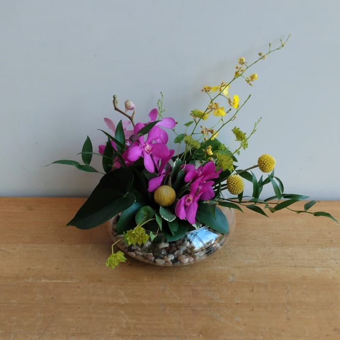 Lotus Bowl
