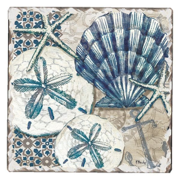 Tile Coaster - Tide Pool Shells