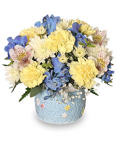 BABY BOY BLOOMS
  Floral  Arrangement