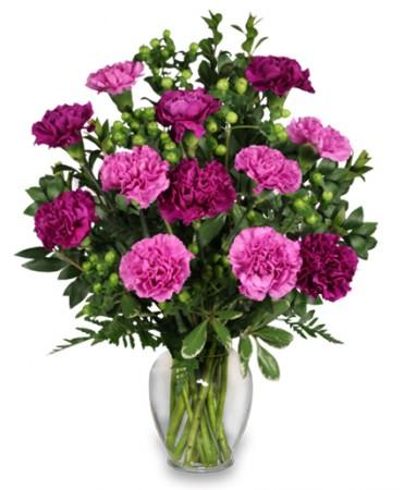 "Pump The Purple" Carnation Bouquet