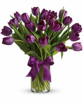 Passion Purple Tulips