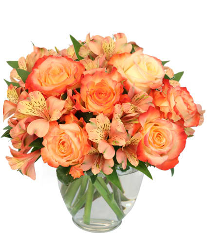 AMBROSIA ROSES
Bouquet