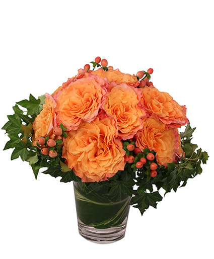 FLIRTY FREE SPIRIT
Rose Arrangement