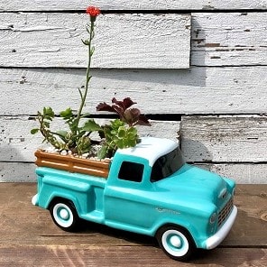 Chevy Pickup Succulent Garden