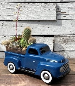 Ford Pickup Succulent Garden