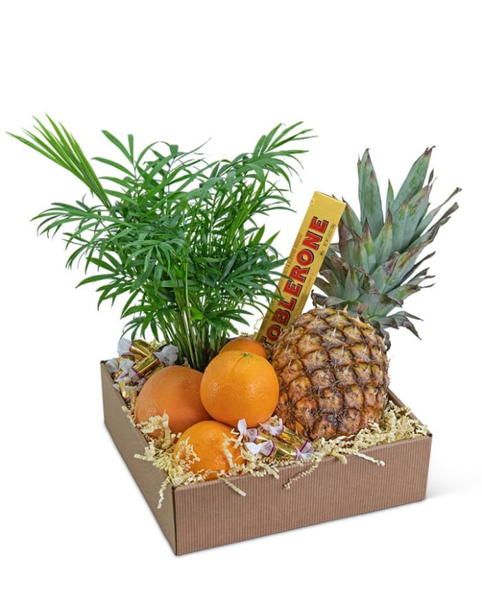 Tropical Oasis Basket