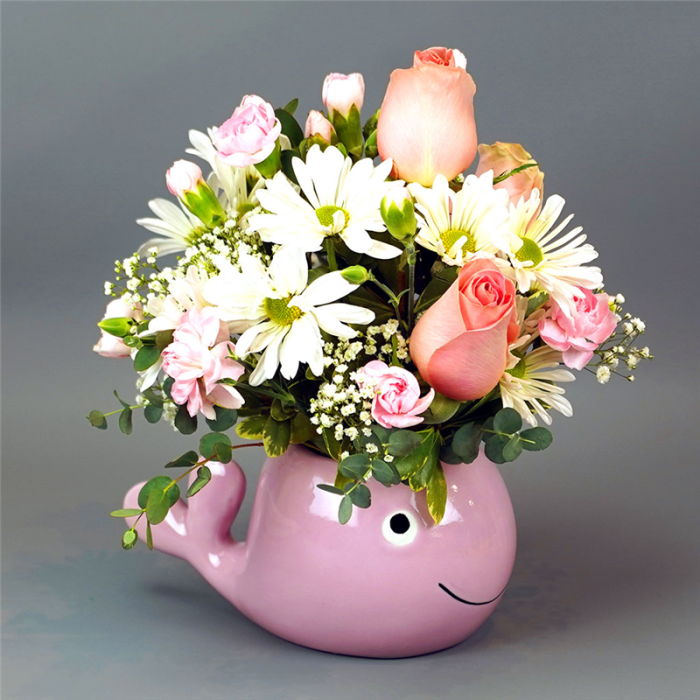 Baby Pink Whale by Rathbone's Flair Flowers