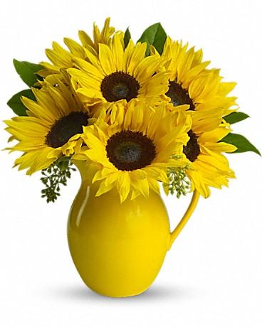 Sunny Day Pitcher of Sunflowers