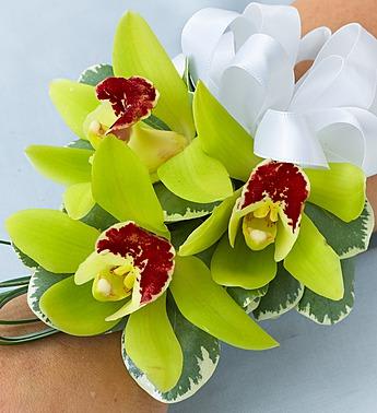 Orchid Corsage