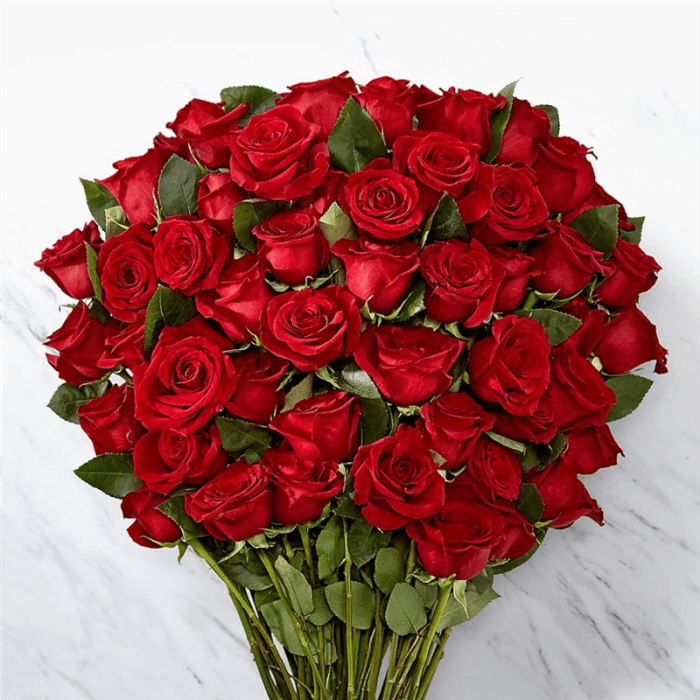 Fifty Long Stem Red Roses - GLASS Vase Included