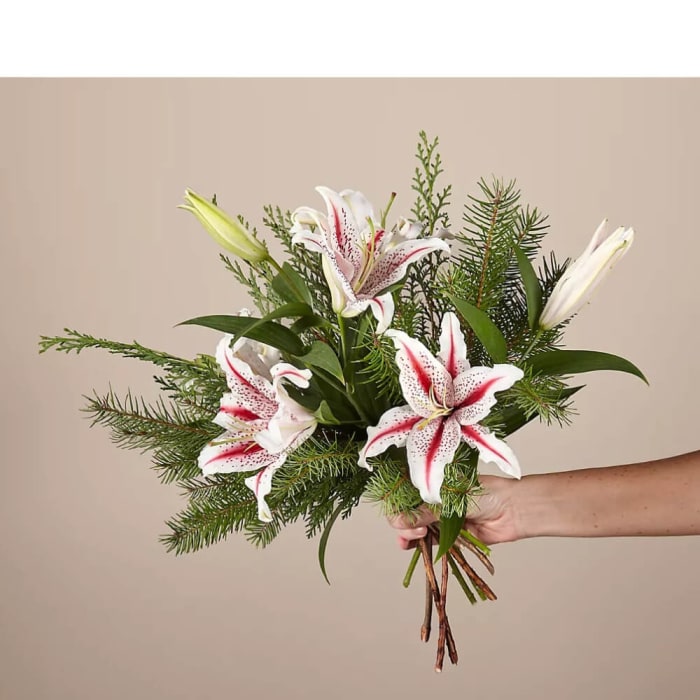 Original Candy Cane Lily Bouquet